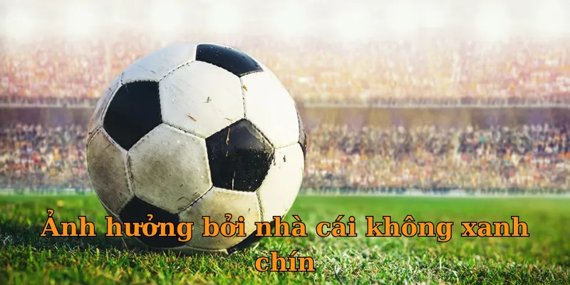 Ảnh hưởng bởi nhà cái không xanh chín