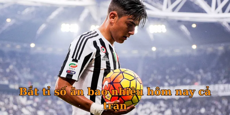 Bắt tỉ số ăn bao nhiêu hôm nay là gì?
