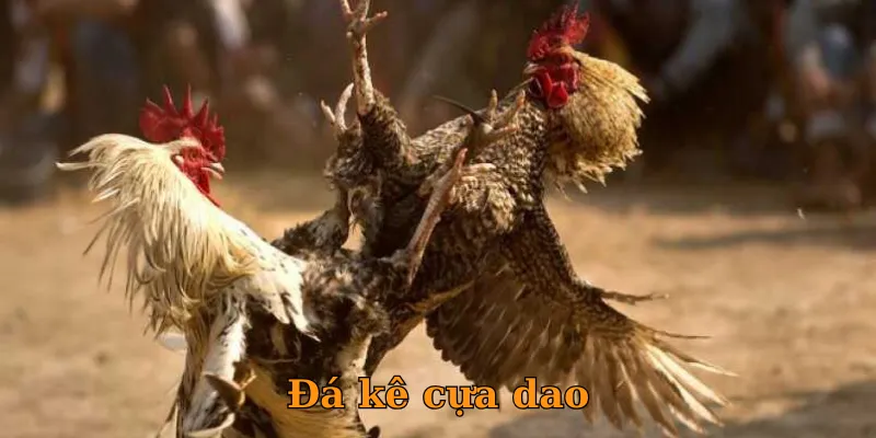 Đá kê cựa dao