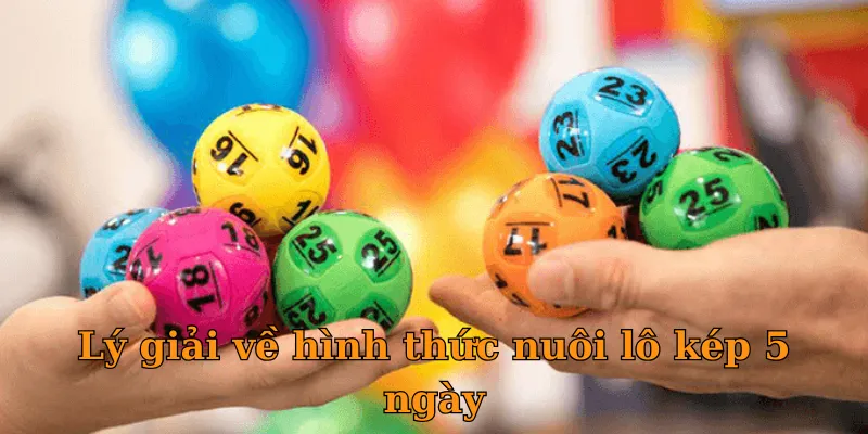 Lý giải về hình thức nuôi lô kép 5 ngày