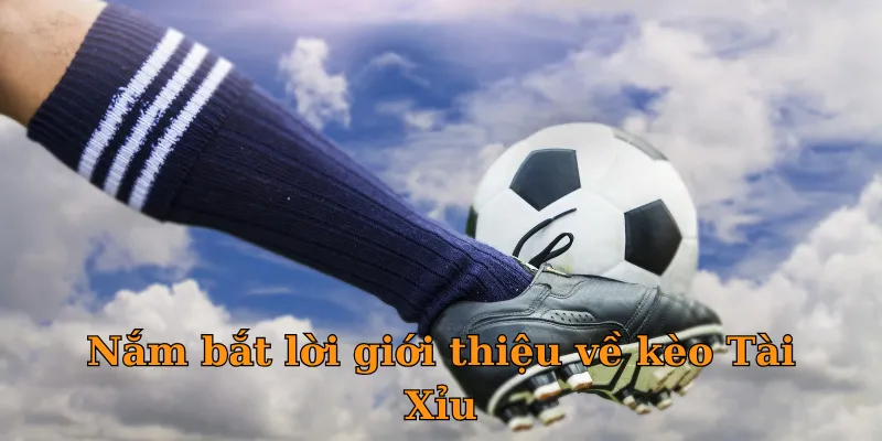 Nắm bắt lời giới thiệu về kèo Tài Xỉu