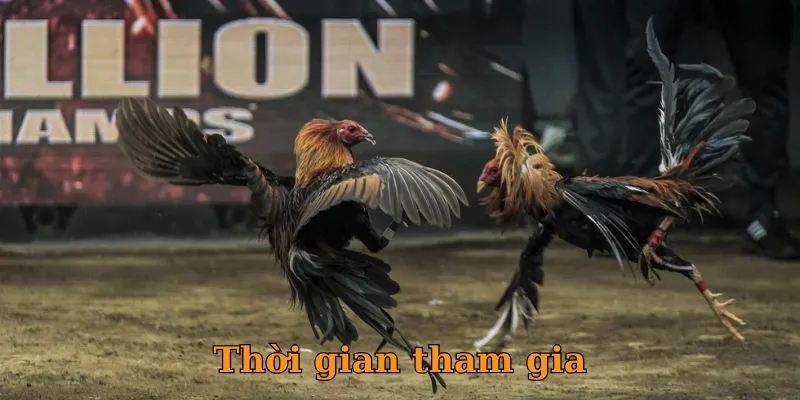 Thời gian tham gia
